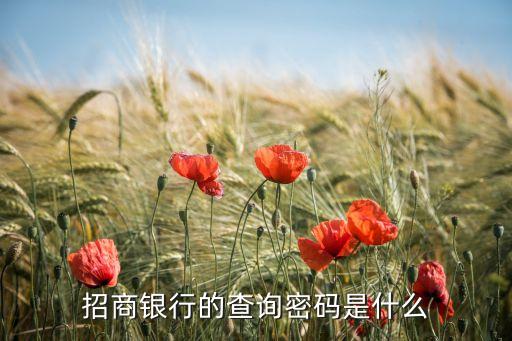 招商銀行電話查詢密碼是什么意思，招商銀行的查詢密碼是什么