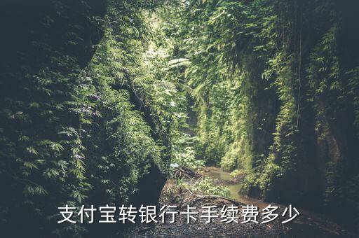 支付寶轉(zhuǎn)銀行手續(xù)費(fèi)多少，支付寶轉(zhuǎn)銀行卡要多少手續(xù)費(fèi)