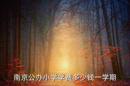南京公辦小學學費多少錢一學期