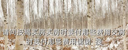請問按揭買房買房時要付那些費用交房時要付那些費用謝謝  搜