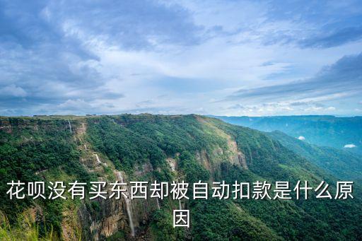 花唄沒有買東西卻被自動(dòng)扣款是什么原因