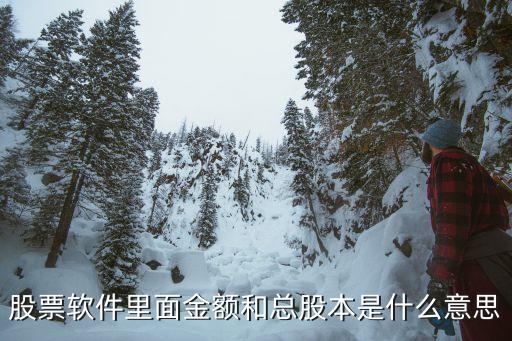 股票里面金額什么意思，股票中的金額是啥意思