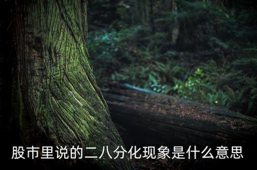 股市里說的二八分化現(xiàn)象是什么意思