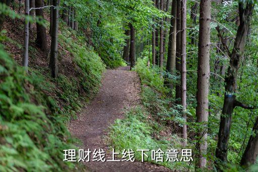 理財線上線下啥意思