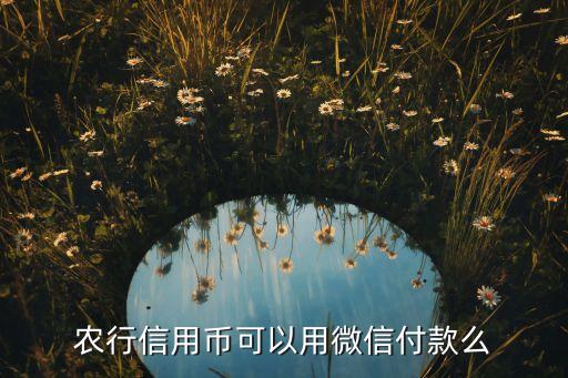 農(nóng)行信用幣是什么，農(nóng)行信用幣可以用微信付款么