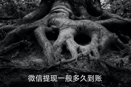 微信一天的提現(xiàn)多少時(shí)間，微信提現(xiàn)一般多久到賬