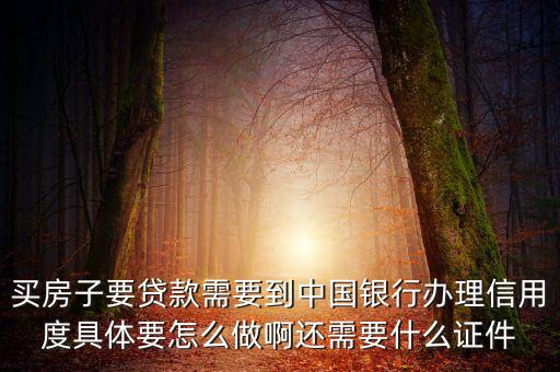 買房要開什么信譽證明，買房子要貸款需要到中國銀行辦理信用度具體要怎么做啊還需要什么證件