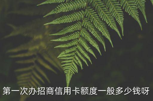 招商第一次信用卡額度是多少，招商銀行信用卡開卡多少額度呢