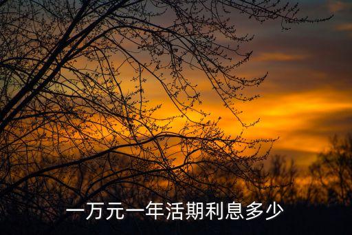 一萬元一年活期利息多少