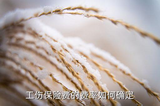 工傷保險(xiǎn)費(fèi)的費(fèi)率如何確定