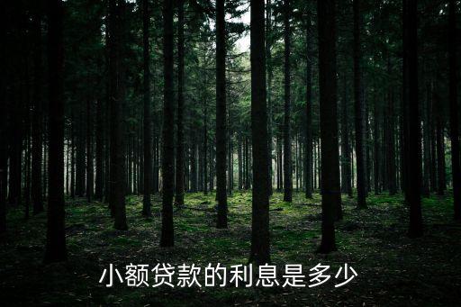 小額金融貸款的利率是多少，小額貸款利息是多少