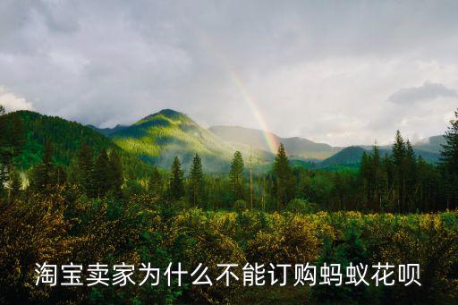 淘寶賣家為什么不能訂購螞蟻花唄