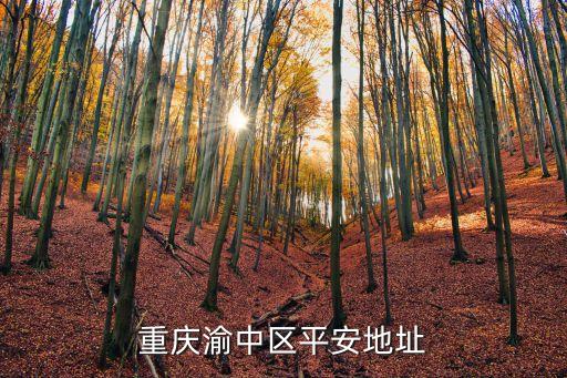 重慶渝中區(qū)平安地址