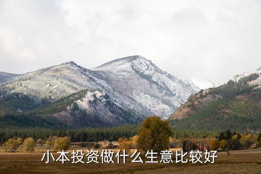 小本投資做什么生意比較好