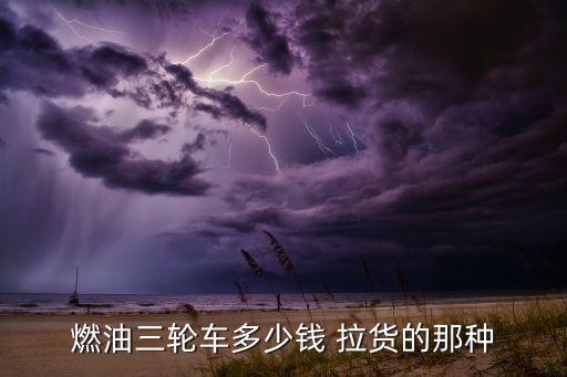 德陽的燒油小行三輪多少錢，請問誰知到250水冷燒油的三輪車多少錢