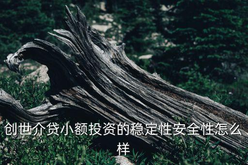 創(chuàng)世介貸小額投資的穩(wěn)定性安全性怎么樣
