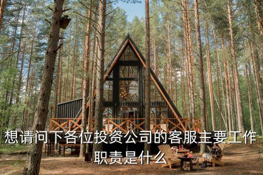 想請(qǐng)問下各位投資公司的客服主要工作職責(zé)是什么