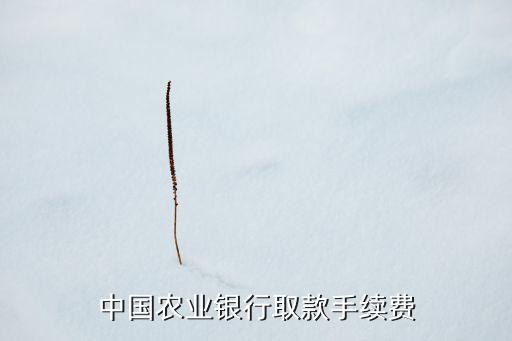 中國(guó)農(nóng)業(yè)銀行取款手續(xù)費(fèi)