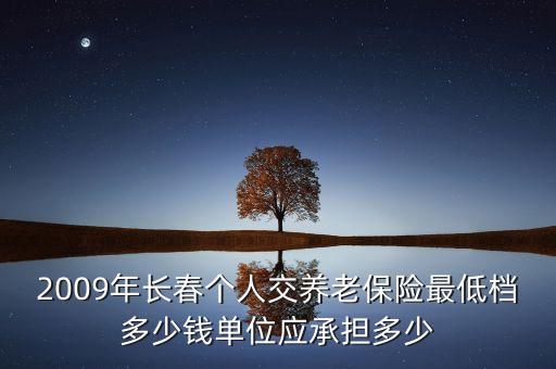 2009年長(zhǎng)春個(gè)人交養(yǎng)老保險(xiǎn)最低檔多少錢(qián)單位應(yīng)承擔(dān)多少