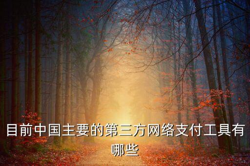 目前中國主要的第三方網(wǎng)絡(luò)支付工具有哪些