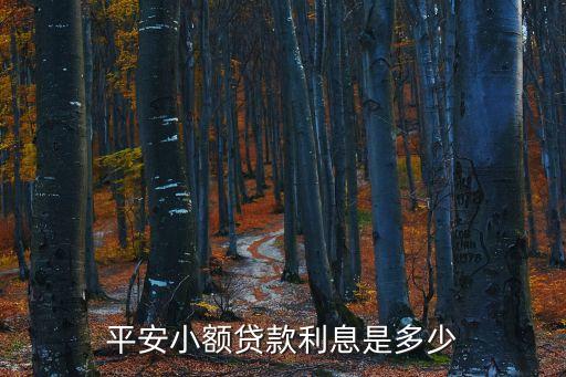 平安小額貸款利息是多少