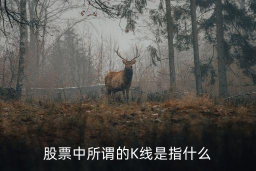股票中所謂的K線是指什么