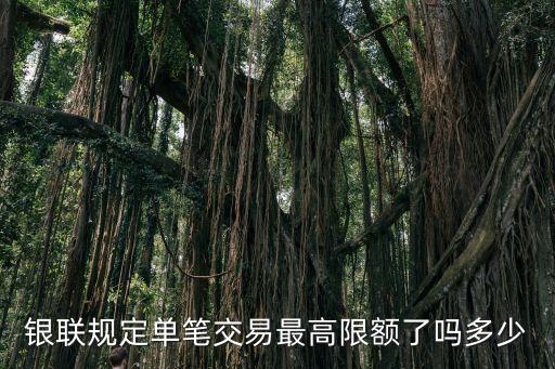 銀聯(lián)付款 限額是多少錢，銀聯(lián)現(xiàn)在刷卡最高可以刷幾錢