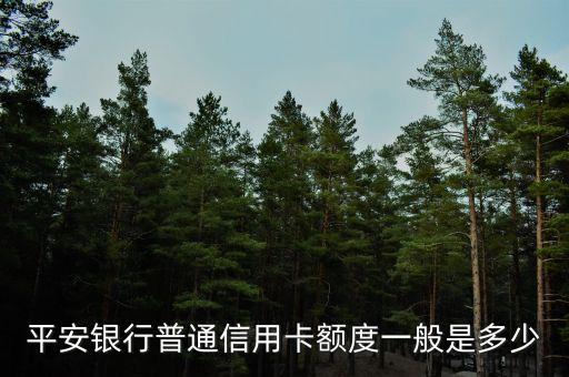 平安銀行的額度是多少錢，平安信用卡一般能下多少額度