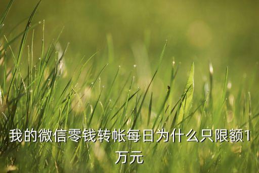 我的微信零錢轉(zhuǎn)帳每日為什么只限額1萬元