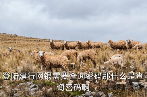 登陸建行網(wǎng)銀需要查詢密碼那什么是查詢密碼啊