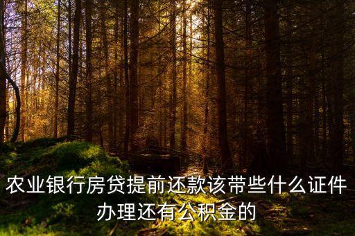 農(nóng)業(yè)銀行房貸提前還款該帶些什么證件辦理還有公積金的