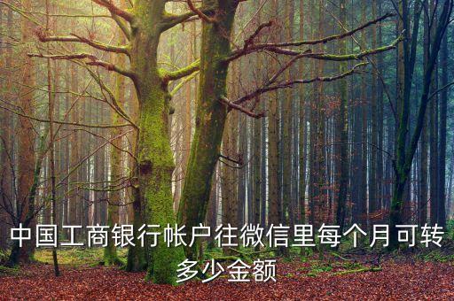工行微信月限額多少，中國工商銀行帳戶往微信里每個月可轉(zhuǎn)多少金額