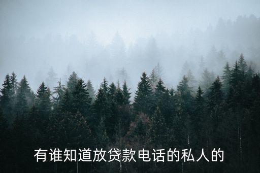 有誰知道放貸款電話的私人的