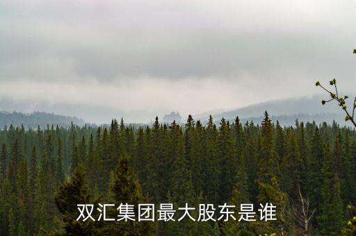 雙匯集團(tuán)最大股東是誰(shuí)