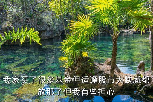 我家買了很多基金但適逢股市大跌就都放那了但我有些擔心