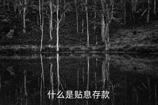 什么貼息存款，什么叫貼息存款
