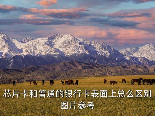 芯片卡和普通的銀行卡表面上總么區(qū)別圖片參考