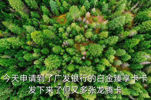 今天申請(qǐng)到了廣發(fā)銀行的白金臻享卡卡發(fā)下來了但又多張龍騰卡