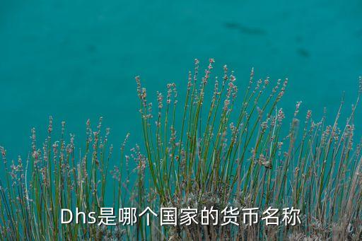 Dhs是哪個國家的貨幣名稱