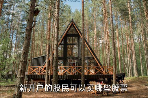 網(wǎng)上開戶可以買什么股，新開戶的股民可以買哪些股票