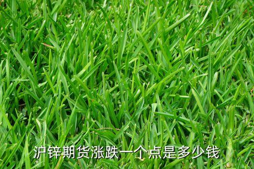 滬鋅期貨漲跌一個點是多少錢