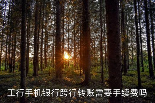 手機銀行 對公匯款手續(xù)費多少，中國工商銀行對公帳戶轉(zhuǎn)帳手續(xù)費是怎么算的急急