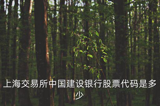 上海交易所中國建設銀行股票代碼是多少