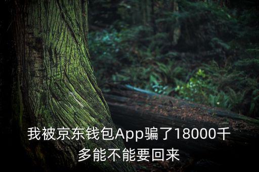 我被京東錢包App騙了18000千多能不能要回來