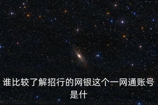 誰比較了解招行的網(wǎng)銀這個(gè)一網(wǎng)通賬號是什