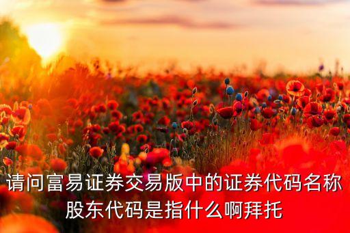 請(qǐng)問富易證券交易版中的證券代碼名稱股東代碼是指什么啊拜托
