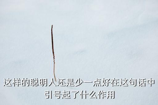 穩(wěn)賺一號起什么作用，什么叫合眾穩(wěn)贏一號兩全保險萬能型
