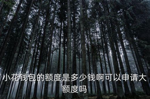 小花錢包可以借多少，小花錢包的額度是多少錢啊可以申請大額度嗎