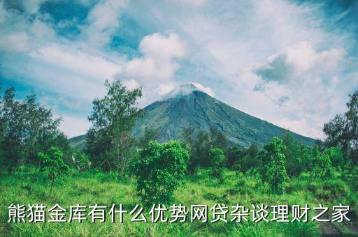熊貓金庫是什么樣子的，大家知道熊貓金庫這個理財產(chǎn)品嗎