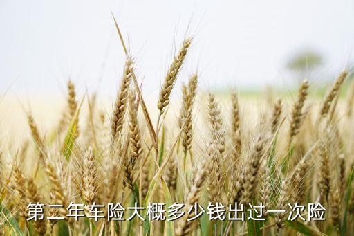 2年車保一次保險(xiǎn)多少錢，第二年車險(xiǎn)大概多少錢出過一次險(xiǎn)